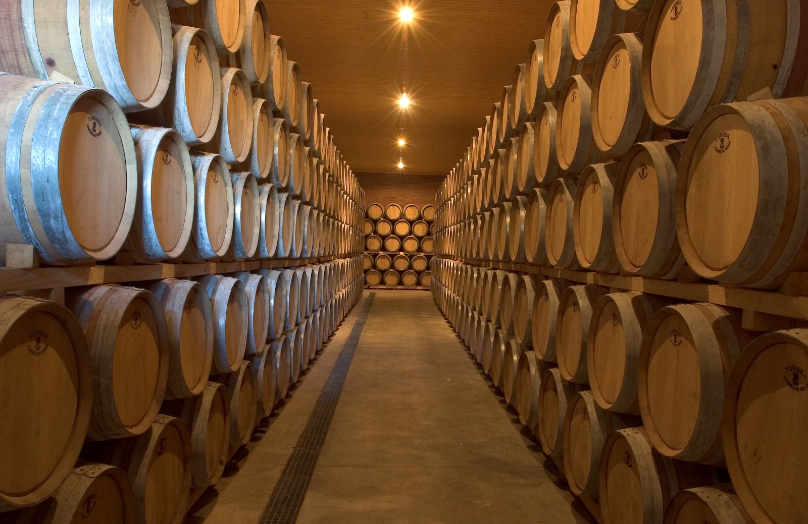 Barricas en bodega de Cariñena