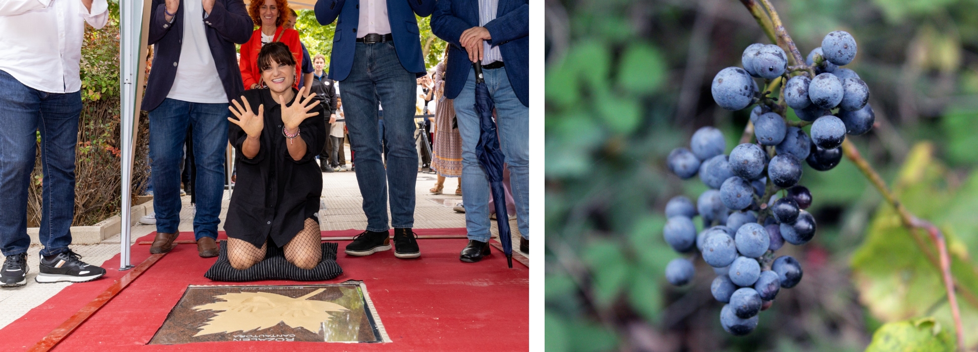 Eventos y festivales de Cariñena 2025