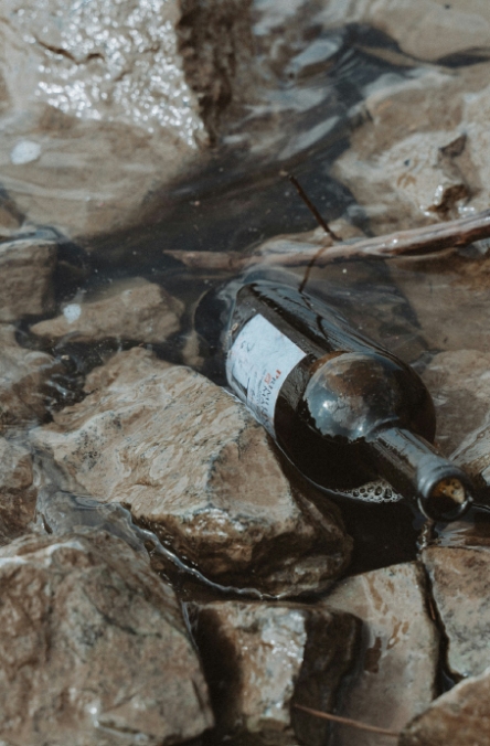 Botella sobre piedra
