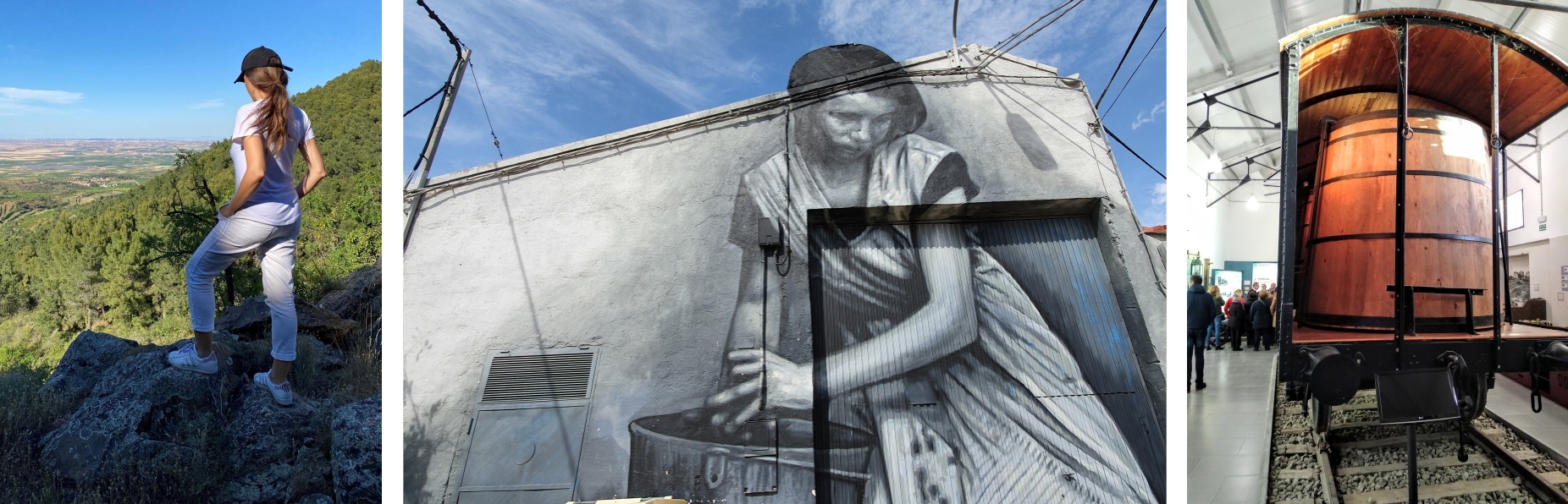 Experiencias enoturísticas en Cariñena