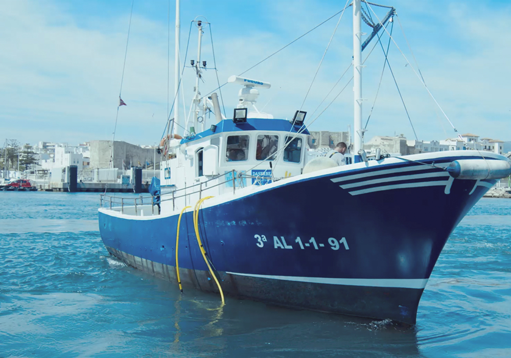 La pesca de atún rojo en Andalucía es una actividad de gran importancia social y económica