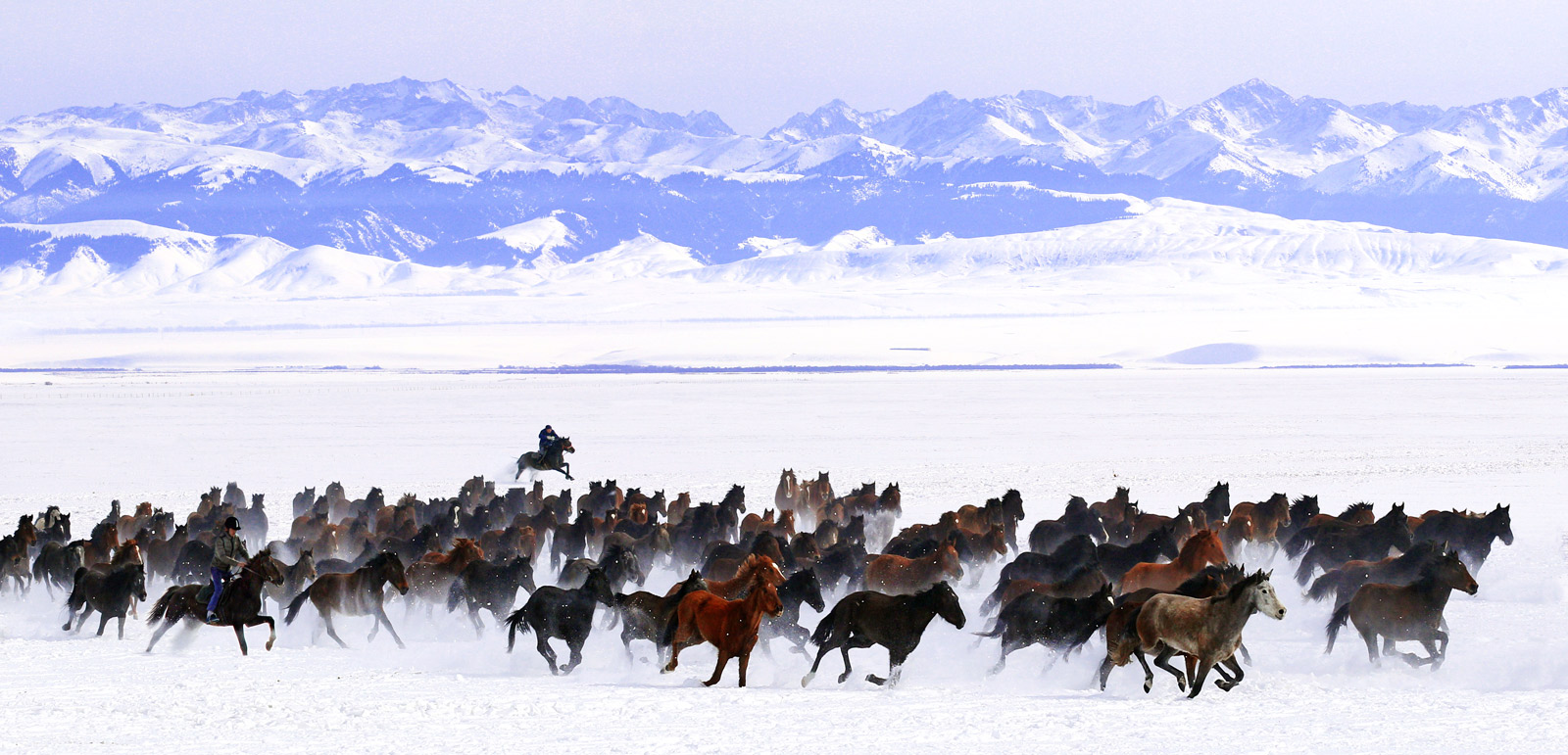 Lhasa