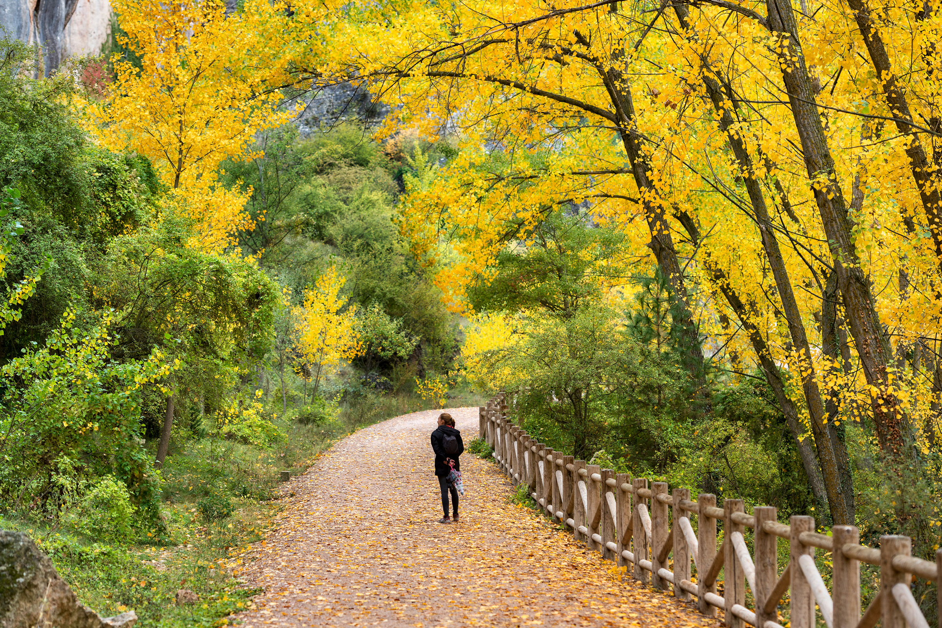 Cuenca en otoño