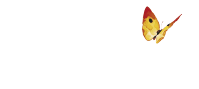 logo Gas Natural