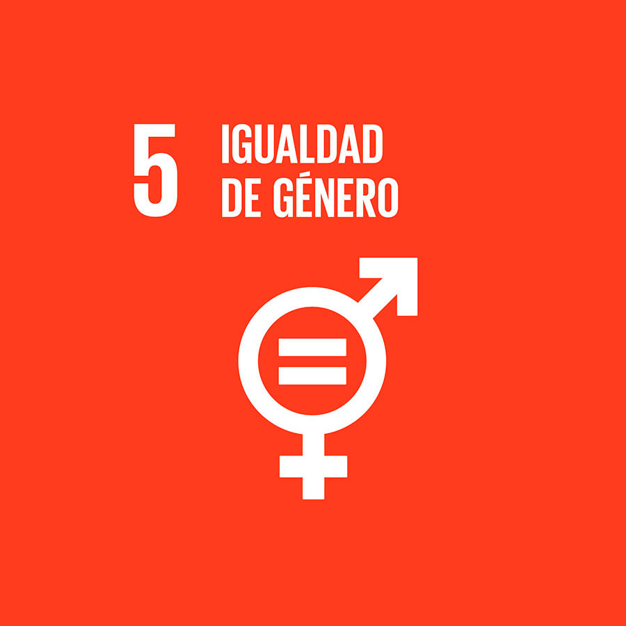 5 - Igualdad de género