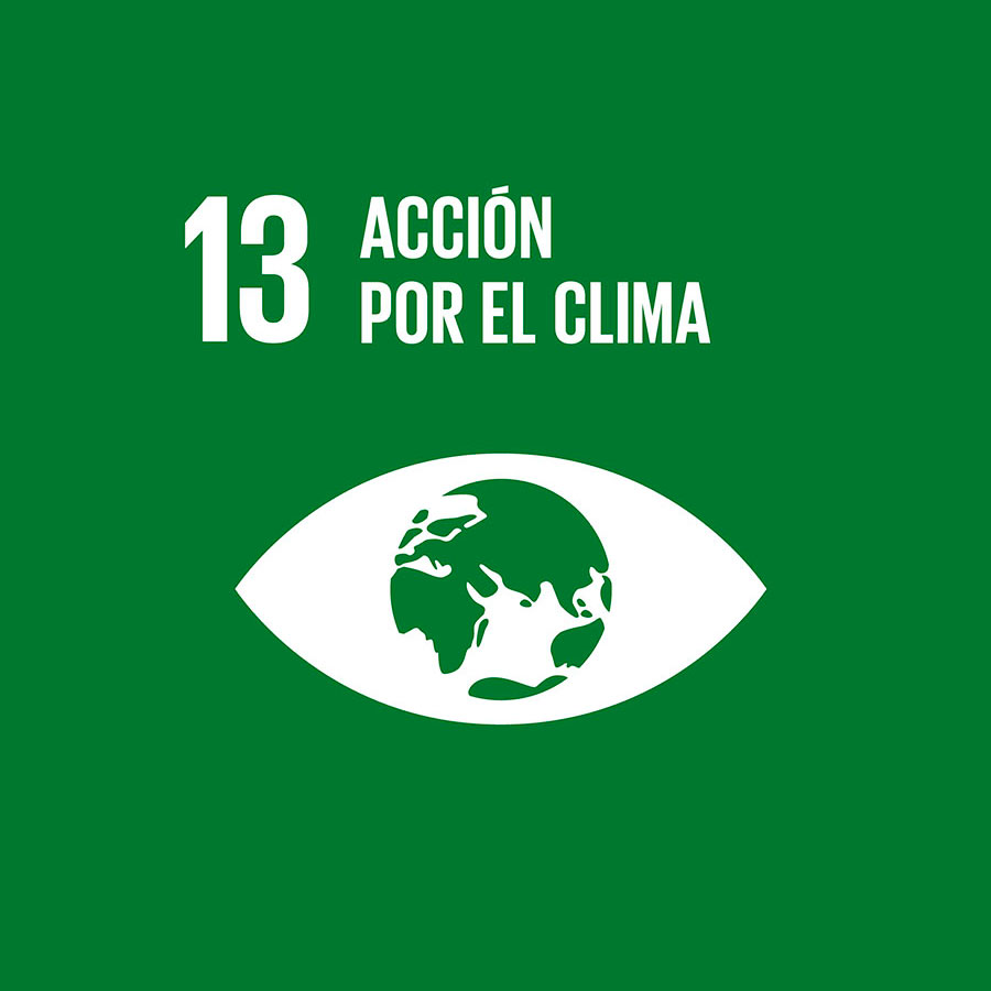 13 - Acción por el clima