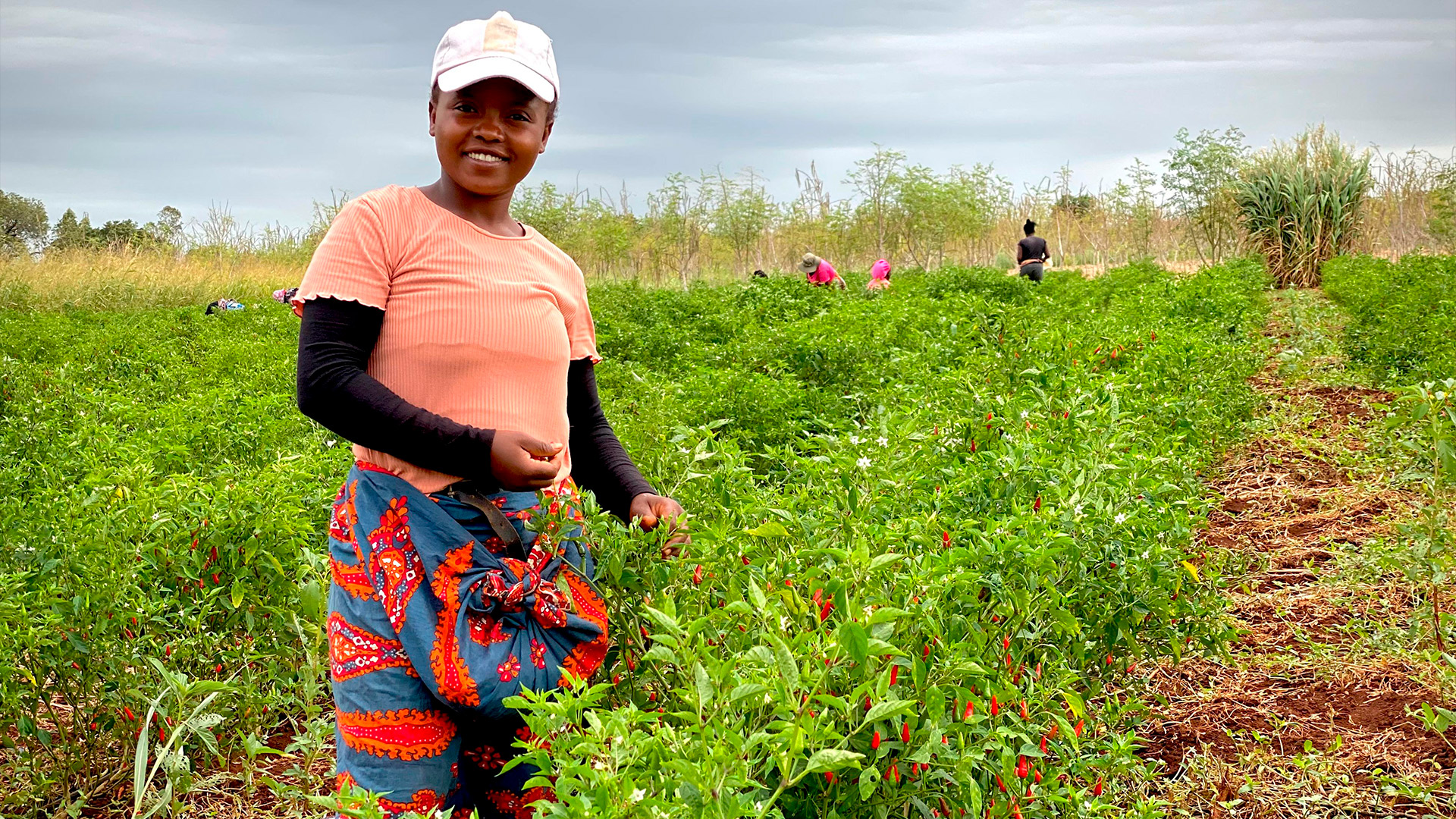 Fundación Mozambique Sur, que trabaja con 165 mujeres rurales en agricultura sostenible y apicultura para mejorar sus ingresos y la seguridad alimentaria de sus comunidades