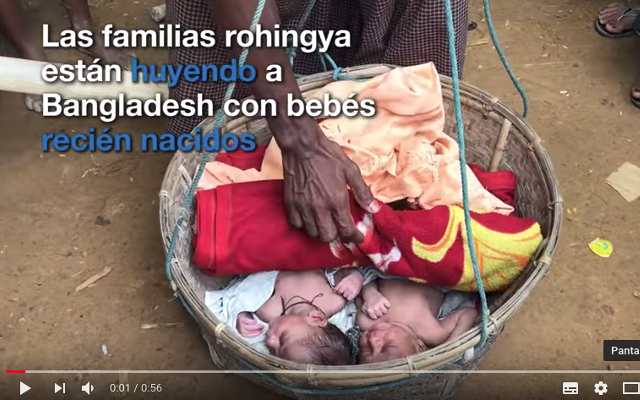 Video las familias rohingya están huyendo a Bangladesh con bebés recién nacidos