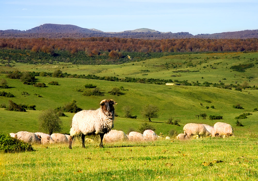 Parque Natural de Urbasa-Andía | © Amaya Alcelay · Turismo de Navarra