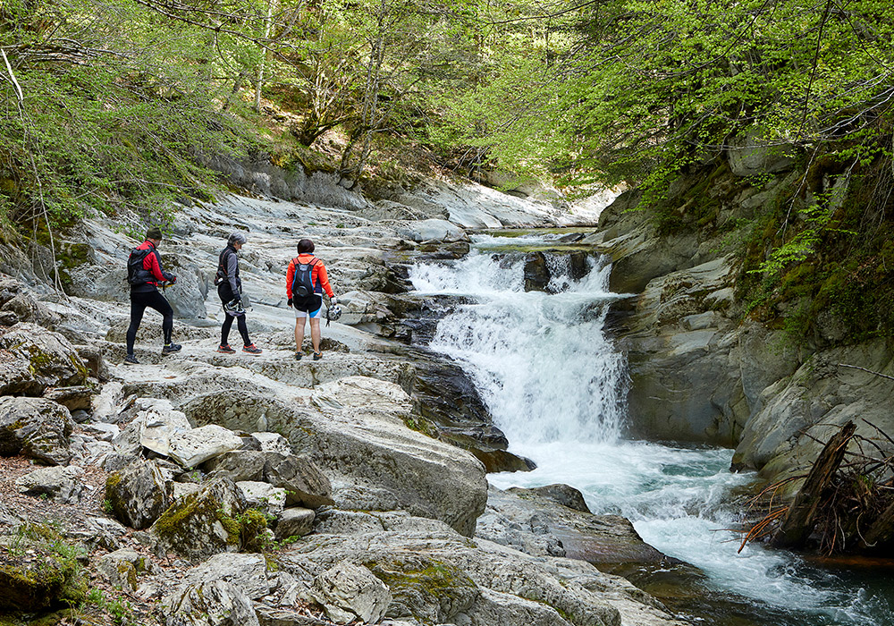 Selva de Irati | © Javier Campos · Turismo de Navarra