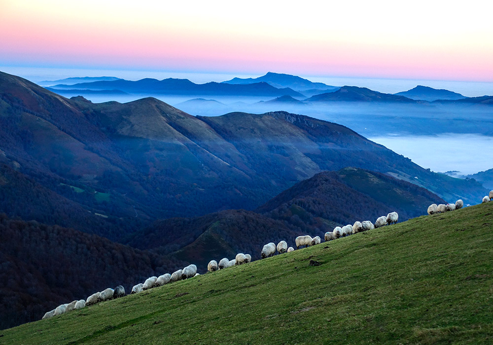 Valle de Baztan | © Iñaki Tejerina · Turismo de Navarra